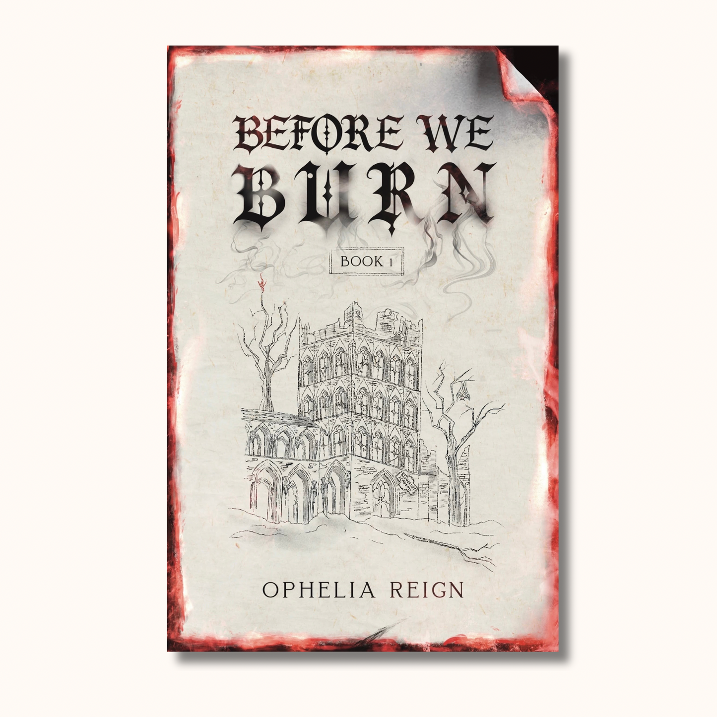 Before We Burn